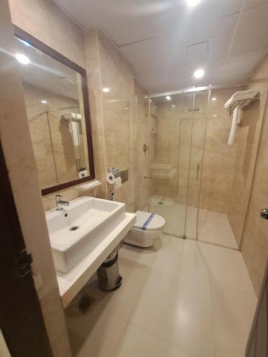 Amber Hotel Nungambakkam,,3 star