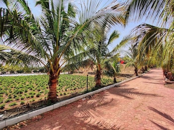malshej agro tourism and farm