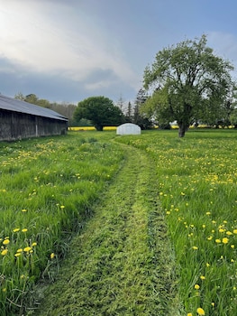 Lodges De La Ferme De La Chaise,32 Route De La Noé Vicaire,0 star