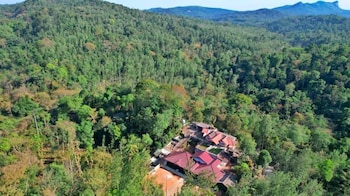cliff haven homestay