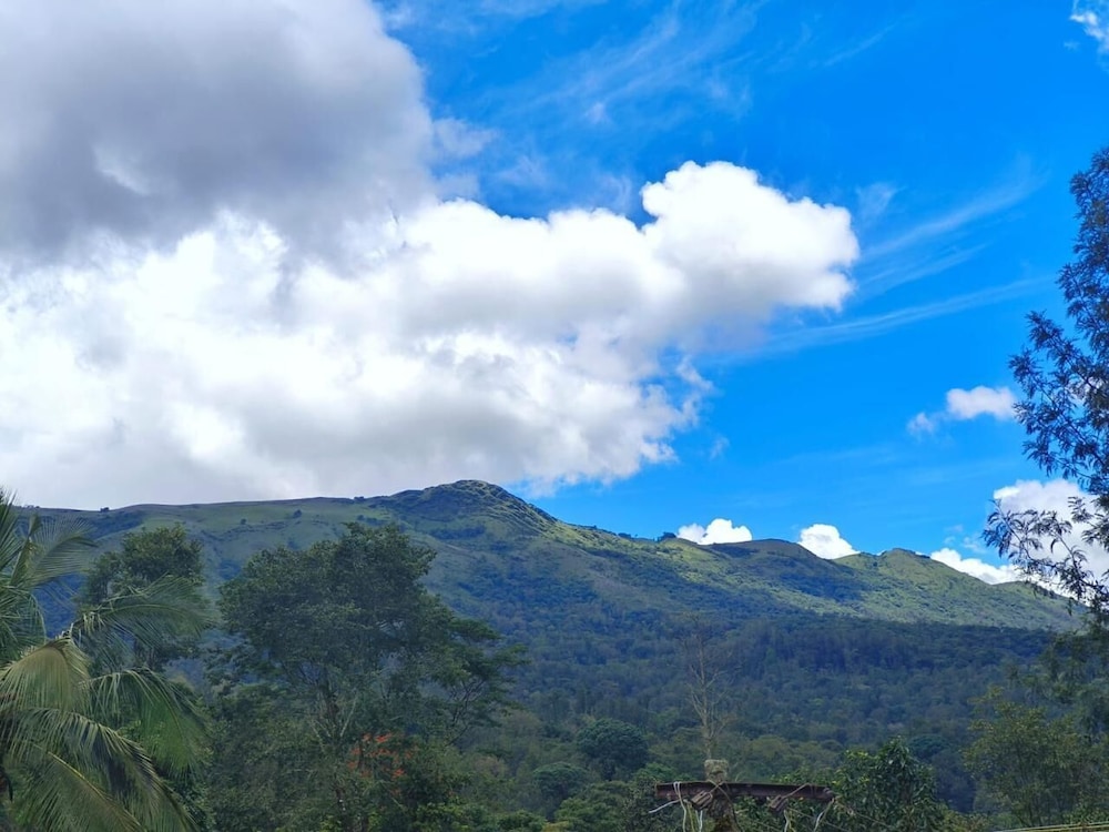 cliff haven homestay