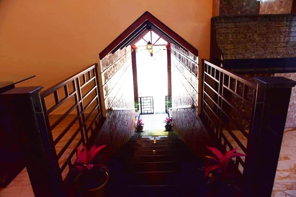 cliff haven homestay