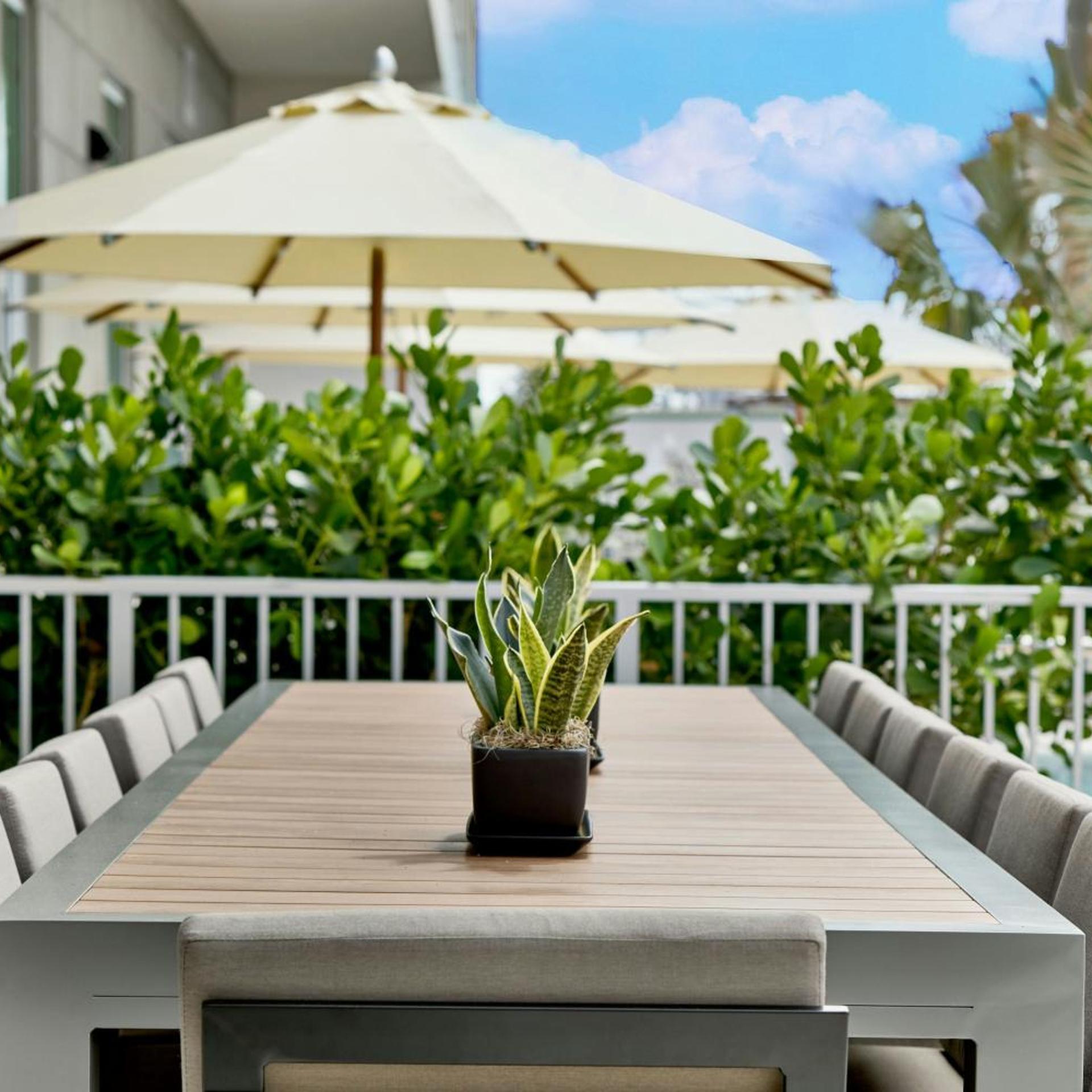ac hotel st augustine