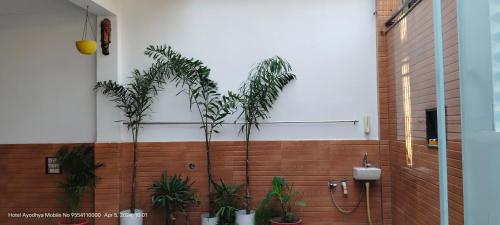 hotel ayodhya dham guest house ayodhya