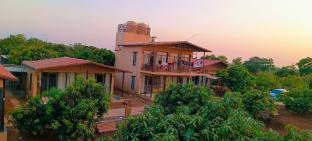 rain forest gir resort