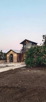 rain forest gir resort