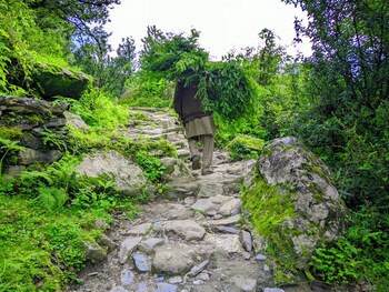 Viraaj Homestay,,3 star