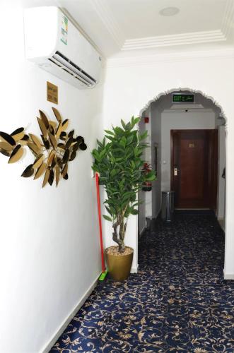luluat al badaie hotel