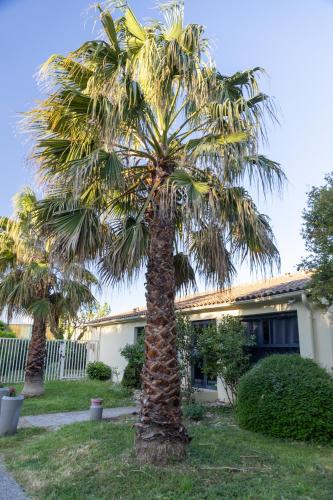 hotel cap sud avignon reouverture ex kyriad hotel