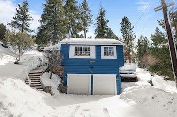 cozy bear cottage
