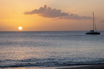 royalton vessence barbados adults only