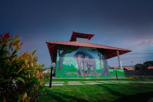 mountain peak resort