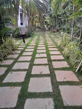 kammeta greens resort