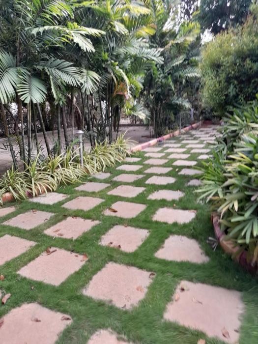 kammeta greens resort