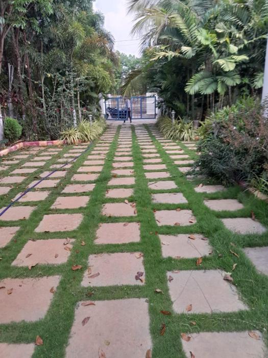 kammeta greens resort