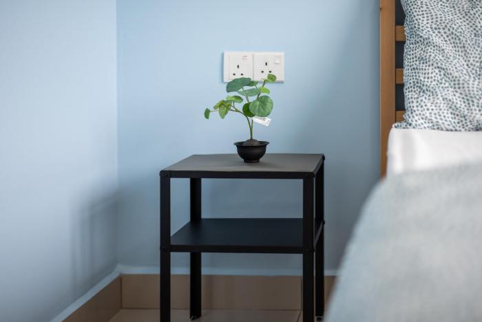 bright and modern 3br suite free parking