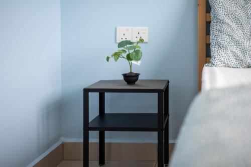 bright and modern 3br suite free parking