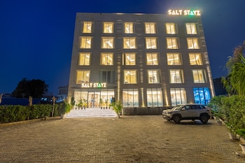 saltstayz premier manesar and sector 86