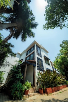 the amore collective