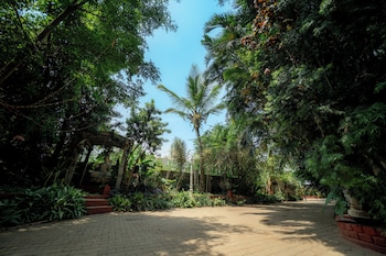 the amore collective