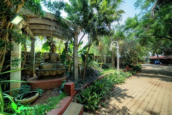 the amore collective