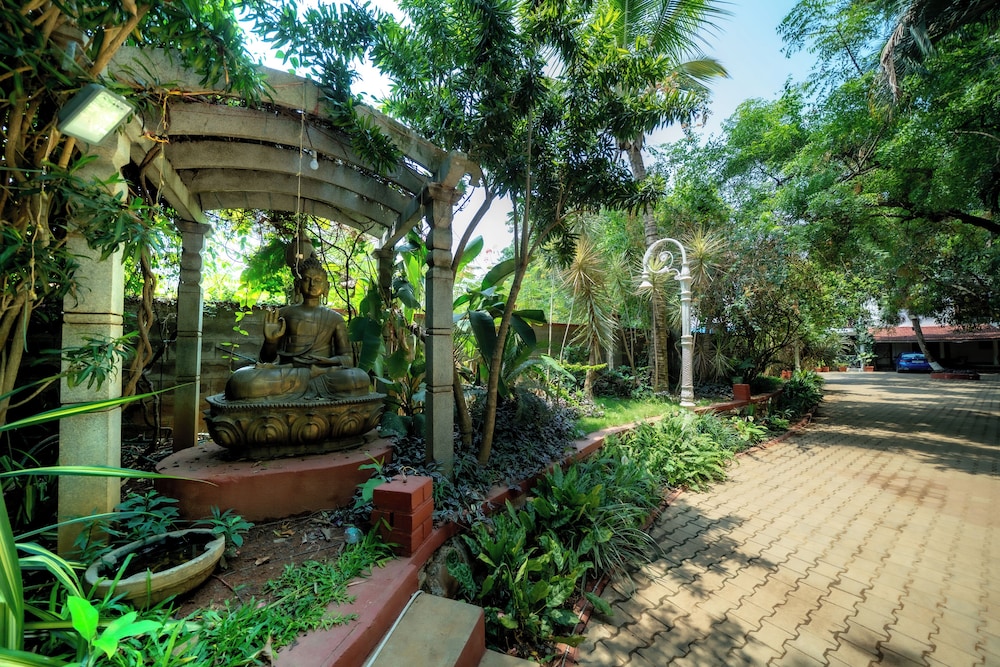 the amore collective