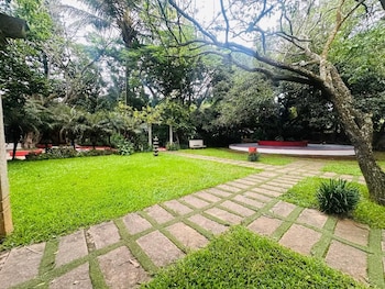 the amore collective