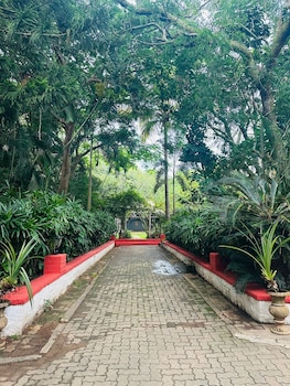 the amore collective