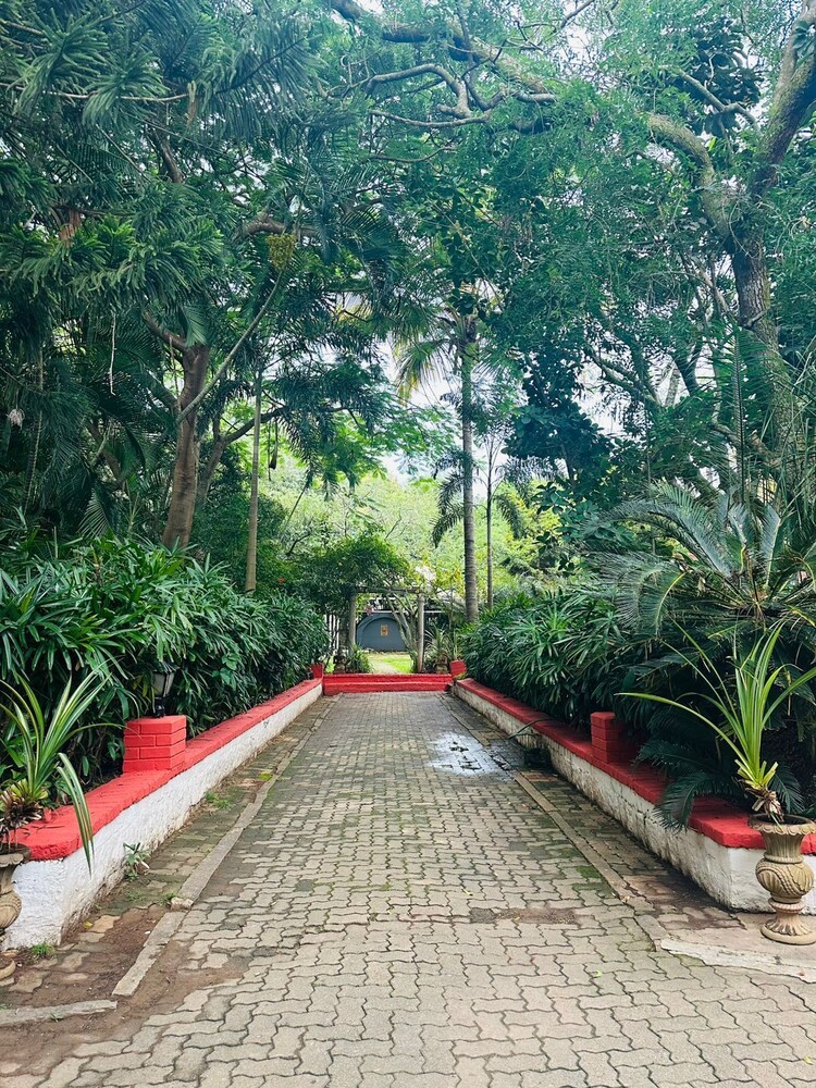 the amore collective