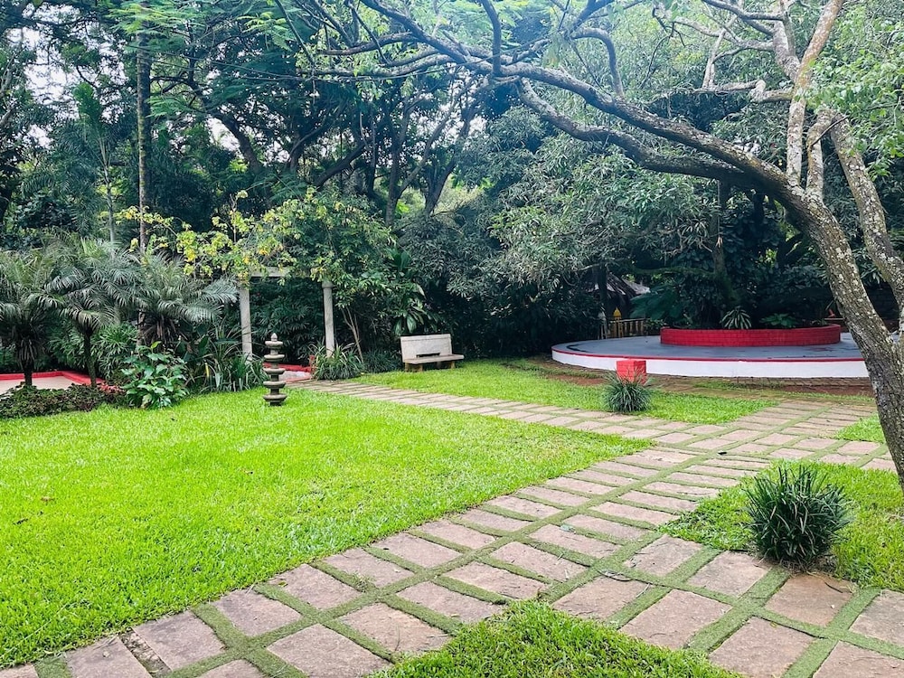 the amore collective