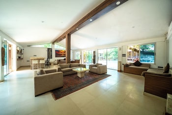 the amore collective