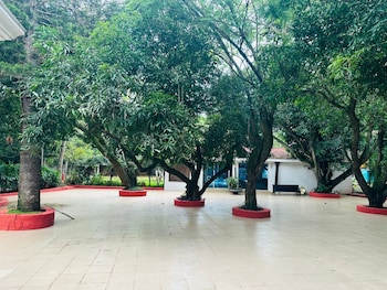 the amore collective