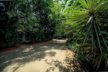 the amore collective