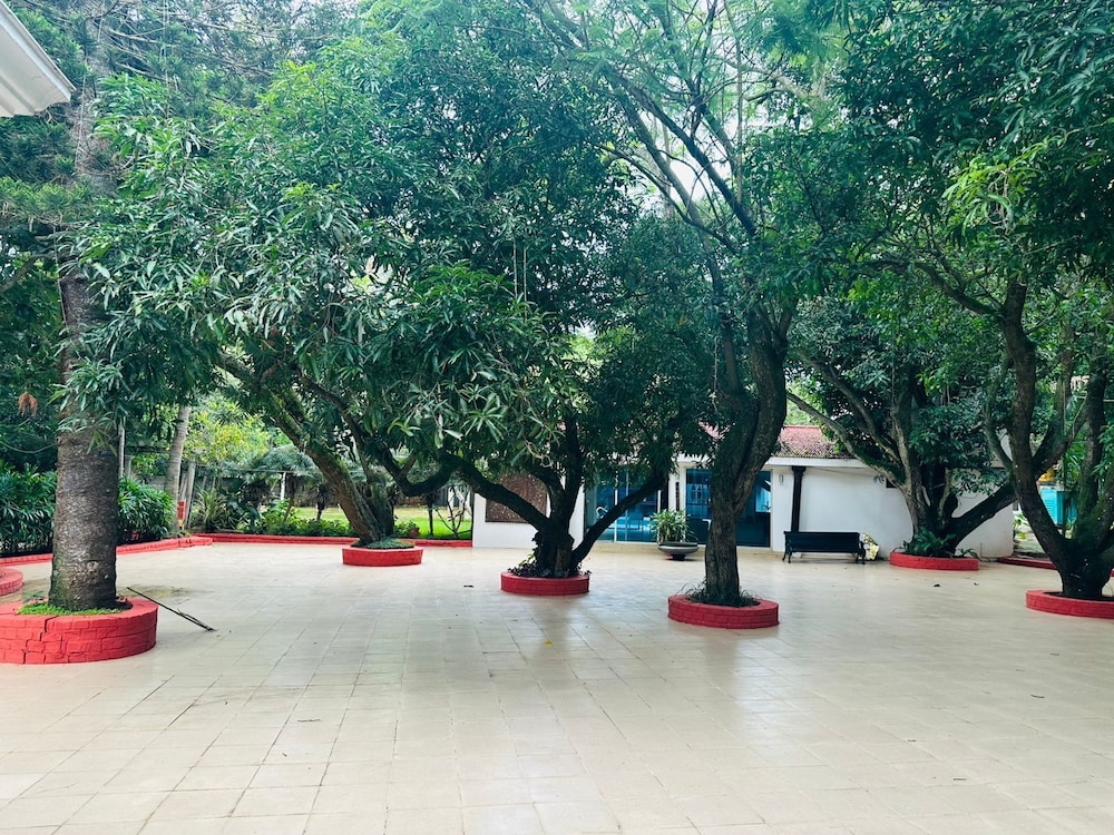 the amore collective