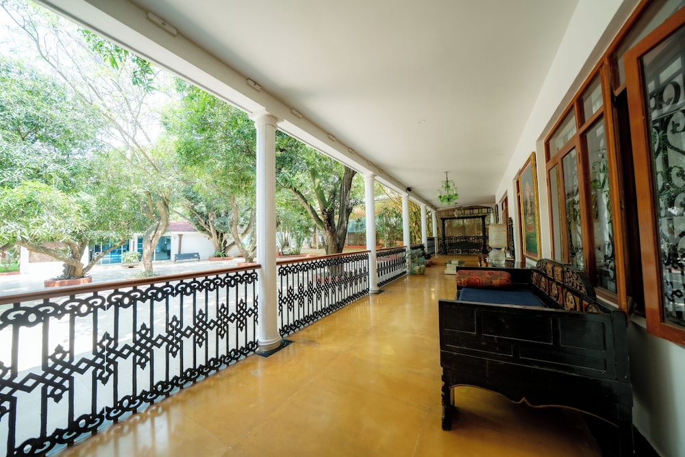 the amore collective