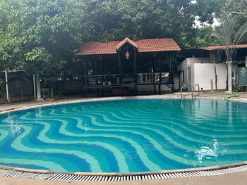 the amore collective