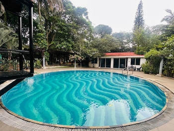 the amore collective