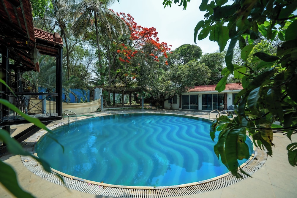 the amore collective