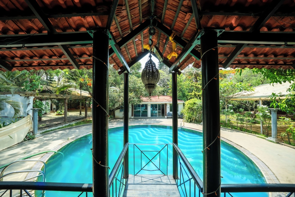 the amore collective