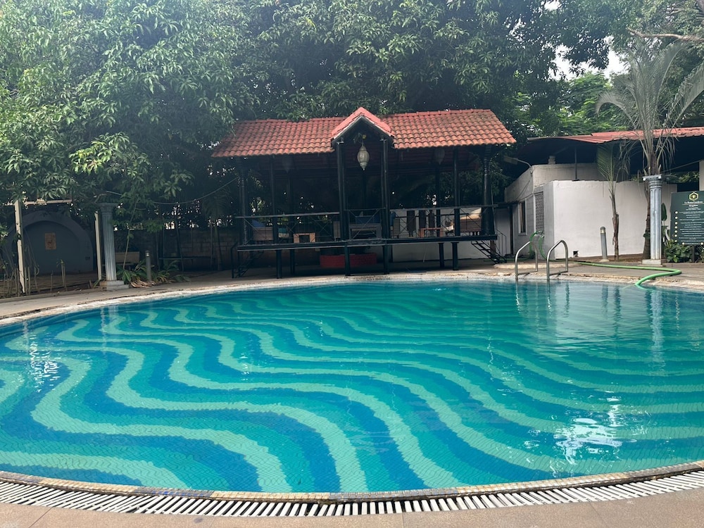 the amore collective