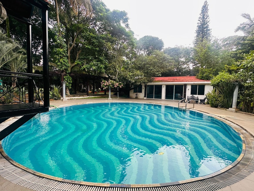 the amore collective