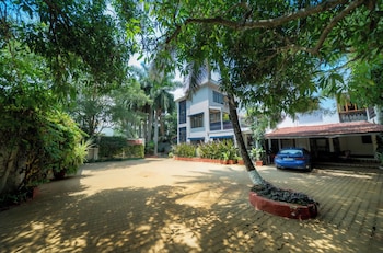 the amore collective