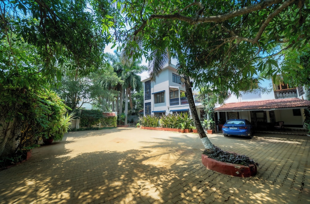 the amore collective