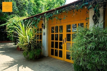 the amore collective