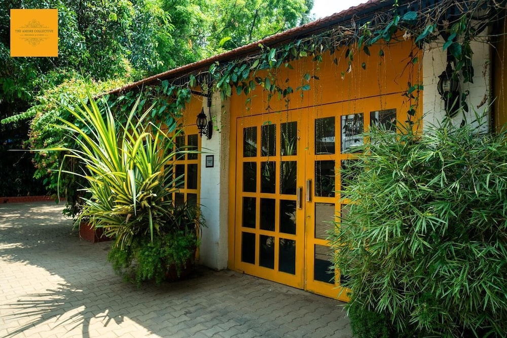 the amore collective