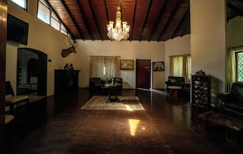 the amore collective