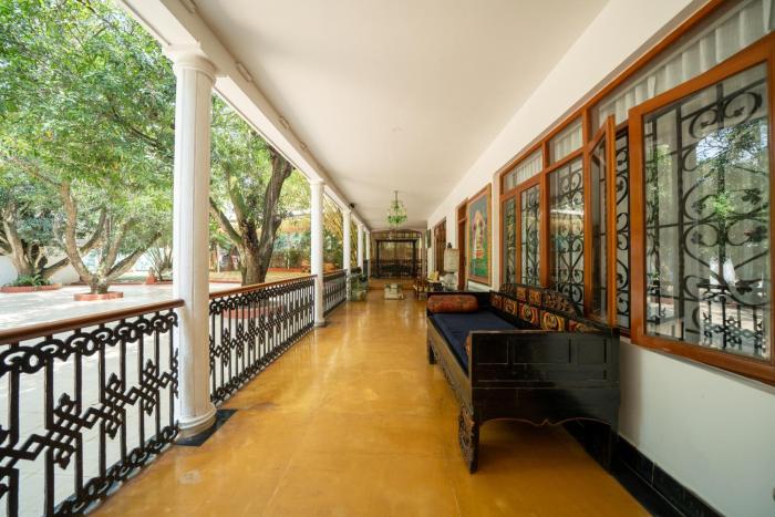 the amore collective