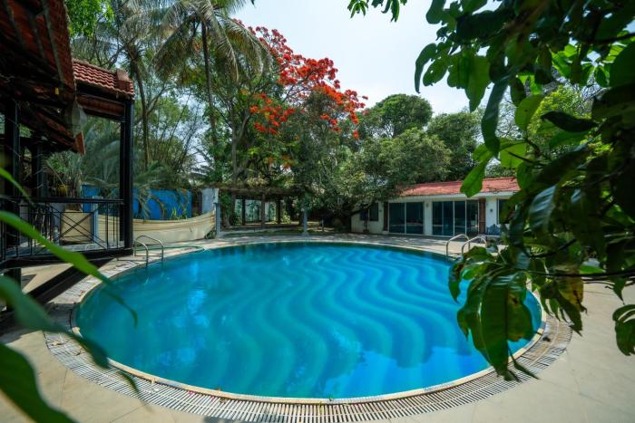 the amore collective