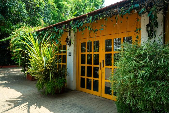 the amore collective