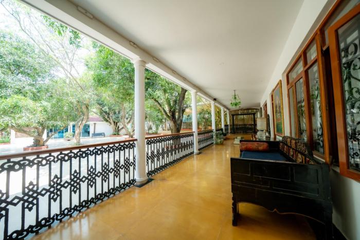 the amore collective